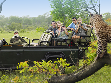 Safari au désert